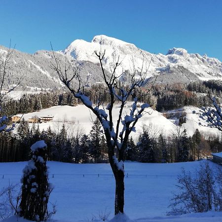 Ferienwohnung Wohlesser Annaberg im Lammertal Kültér fotó